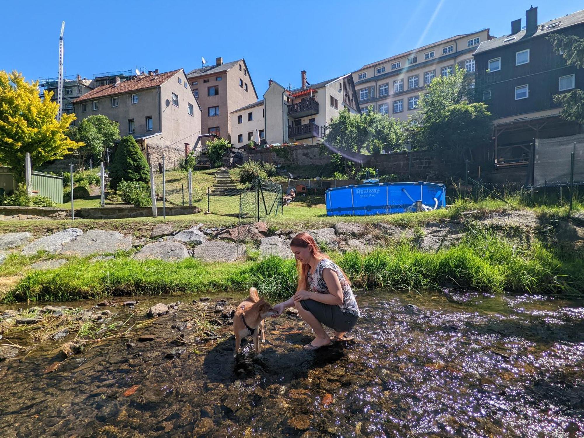 Hw4B - Urlaubsmagie - Zentral Mit Gemeinschaftsgarten, -Pool, -Sauna & Whirlpool Sebnitz Bagian luar foto