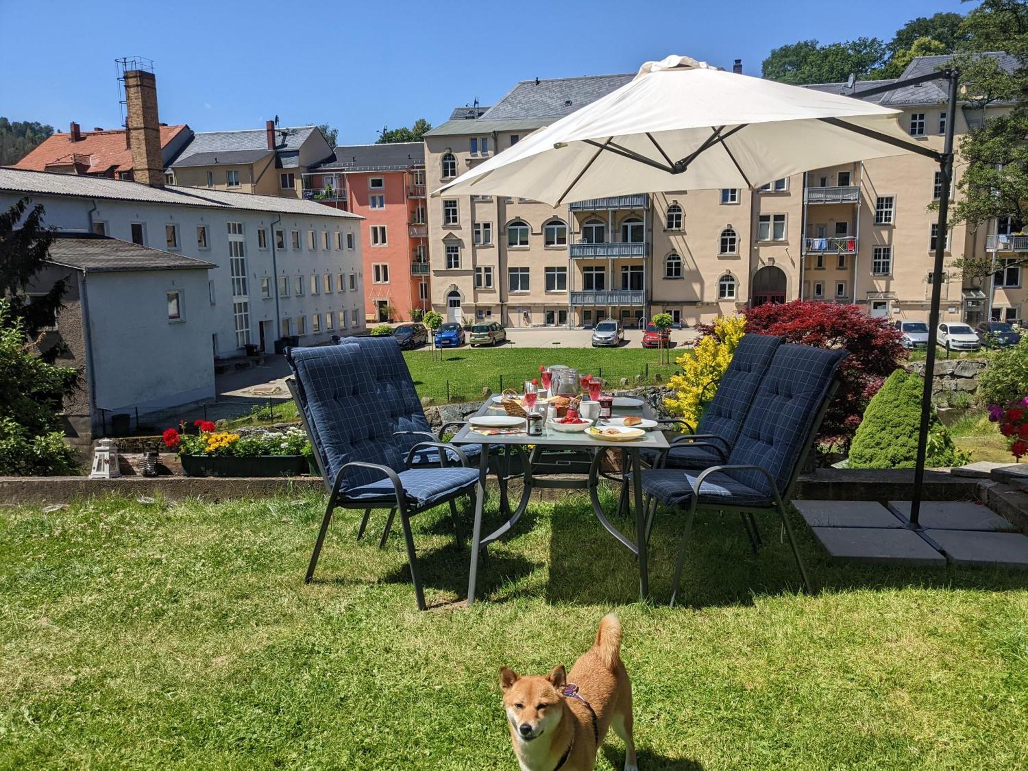 Hw4B - Urlaubsmagie - Zentral Mit Gemeinschaftsgarten, -Pool, -Sauna & Whirlpool Sebnitz Bagian luar foto