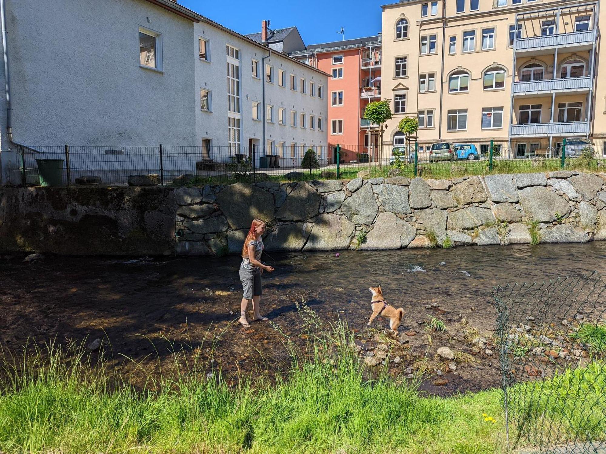 Hw4B - Urlaubsmagie - Zentral Mit Gemeinschaftsgarten, -Pool, -Sauna & Whirlpool Sebnitz Bagian luar foto